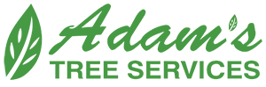adams tree services logo