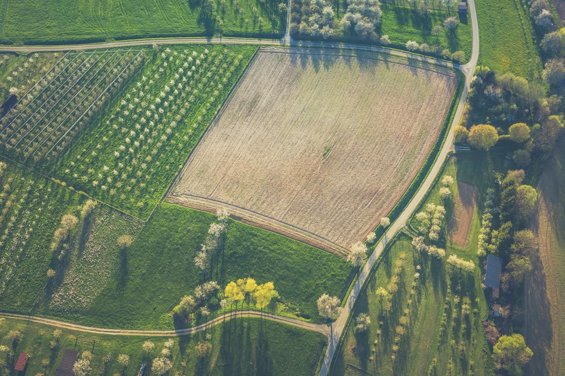 Aerial view of cultivated farmland with fields of varying green crops and a central brown, empty field, with a road.