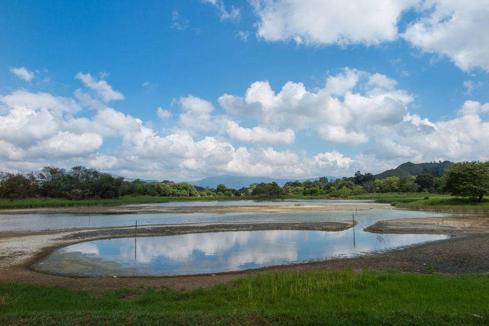 A Large Dam Surrounded by Grass — Jammach Earthmoving in Maitland, NSW