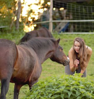 Mädchen und Pferd Kontakt