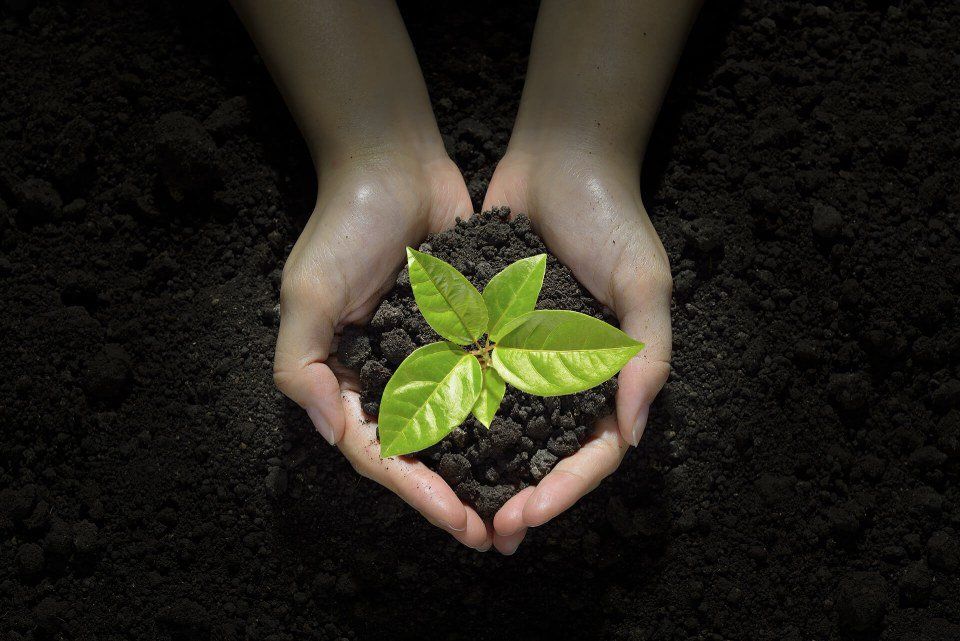 rispetto dell'ambiente