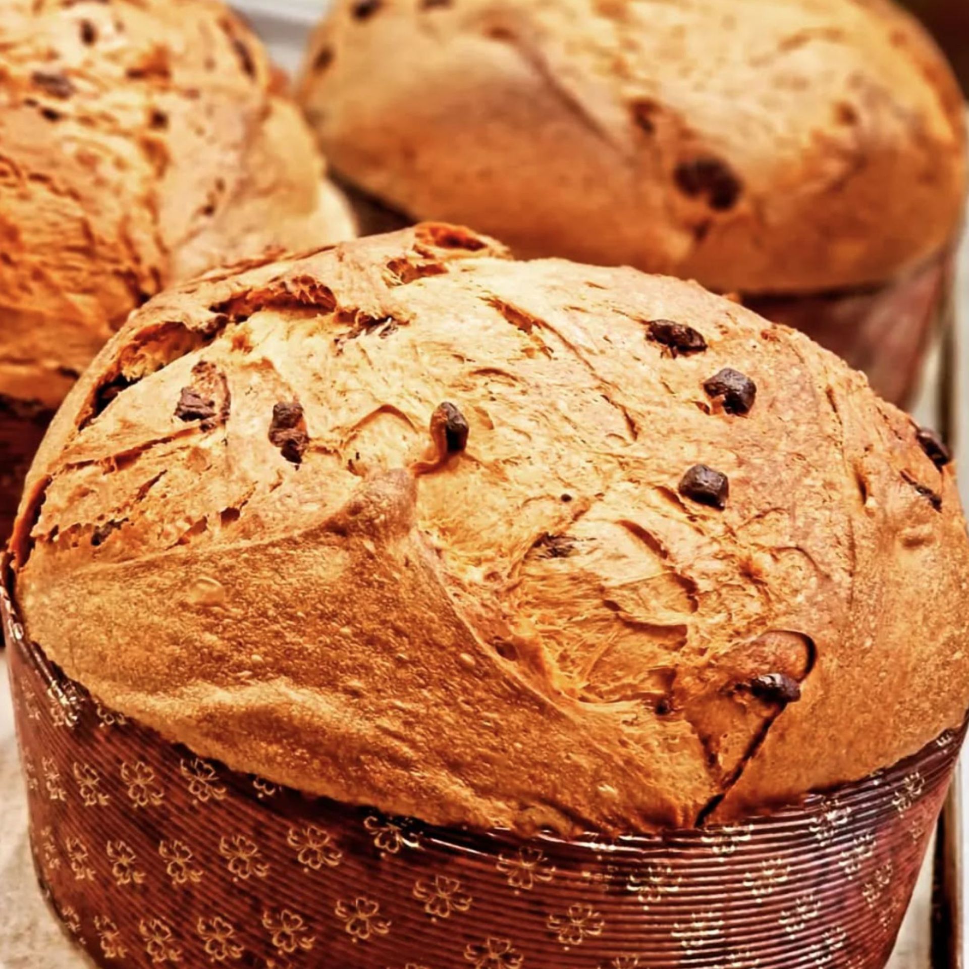 panettone
