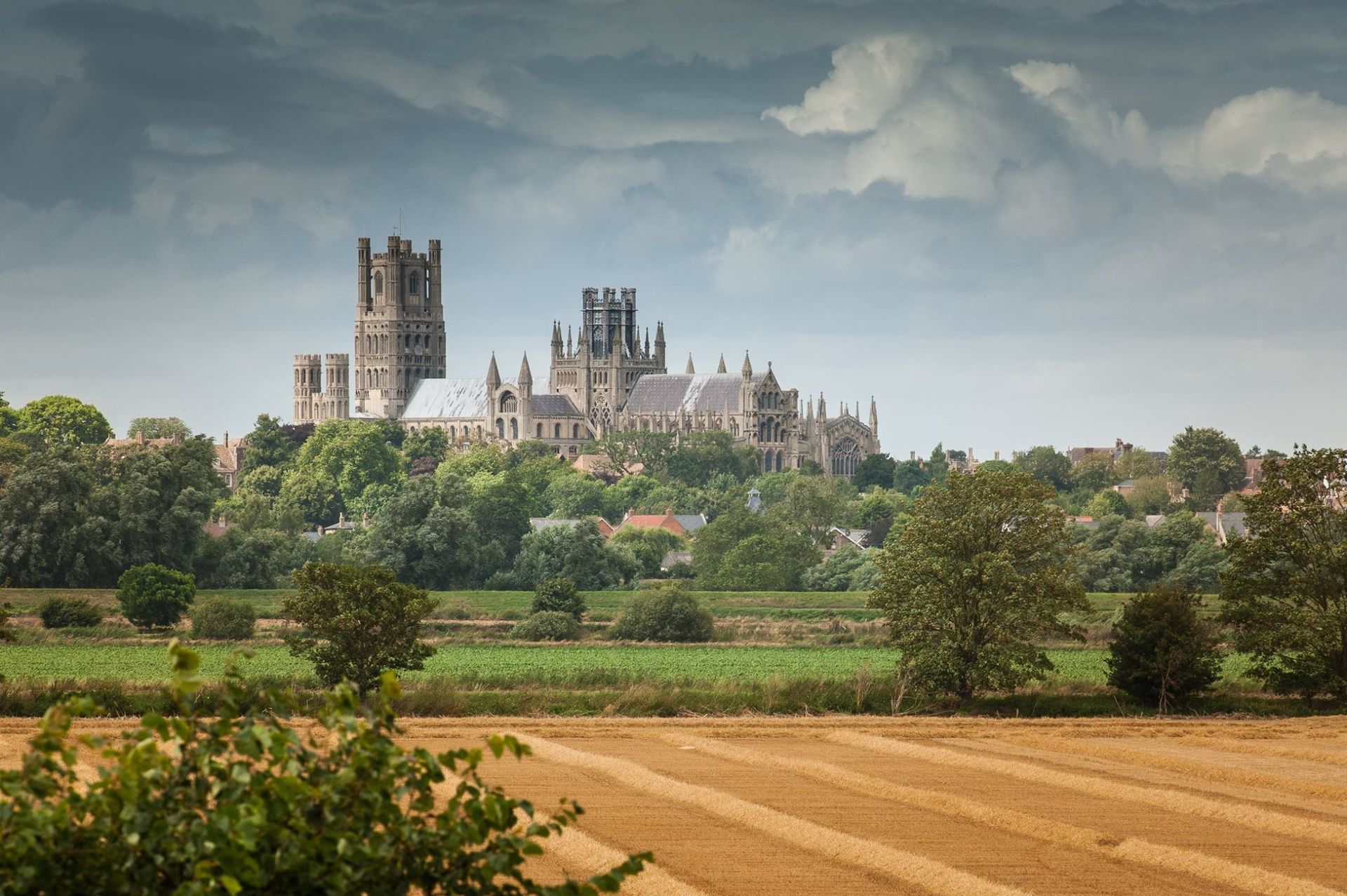 Garden Design & Landscaper in Cambridge