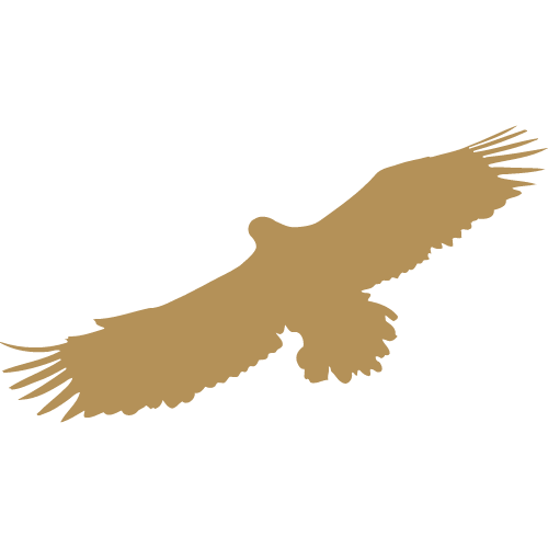 Eagle Rock Church logo