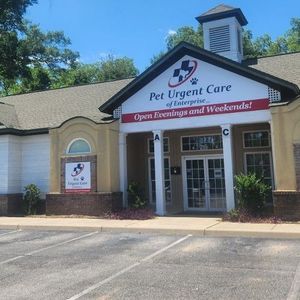 Urgent Care Vet Animal Hospital in Enterprise Montgomery