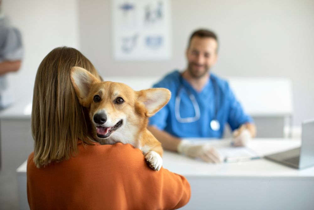 veterinary care in Montgomery, AL