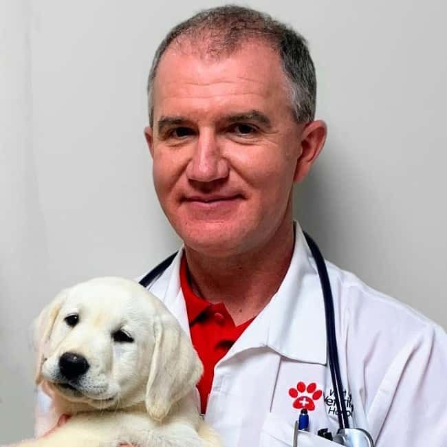 Dr. Adam Carter profile picture with cute puppy.