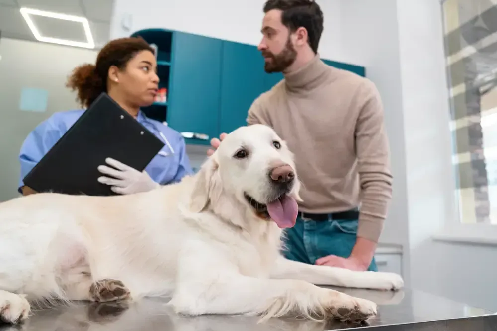 vet Enterprise