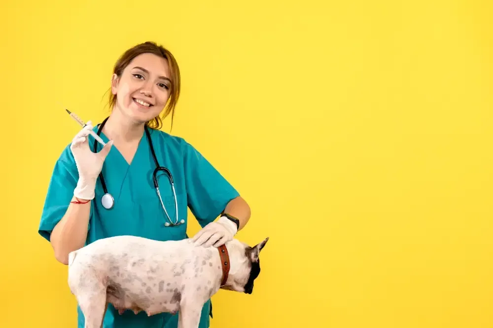 veterinarian