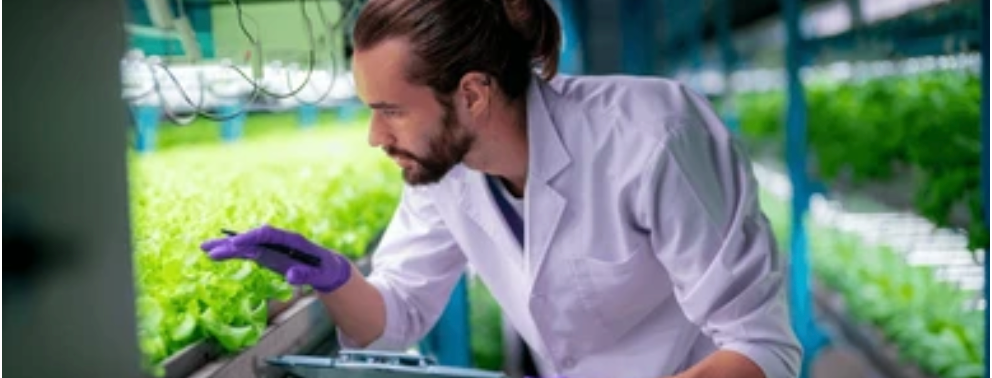 Plastic piping systems in agriculture and modern vertical farming
