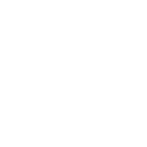 Decorative Film Crew Logo
