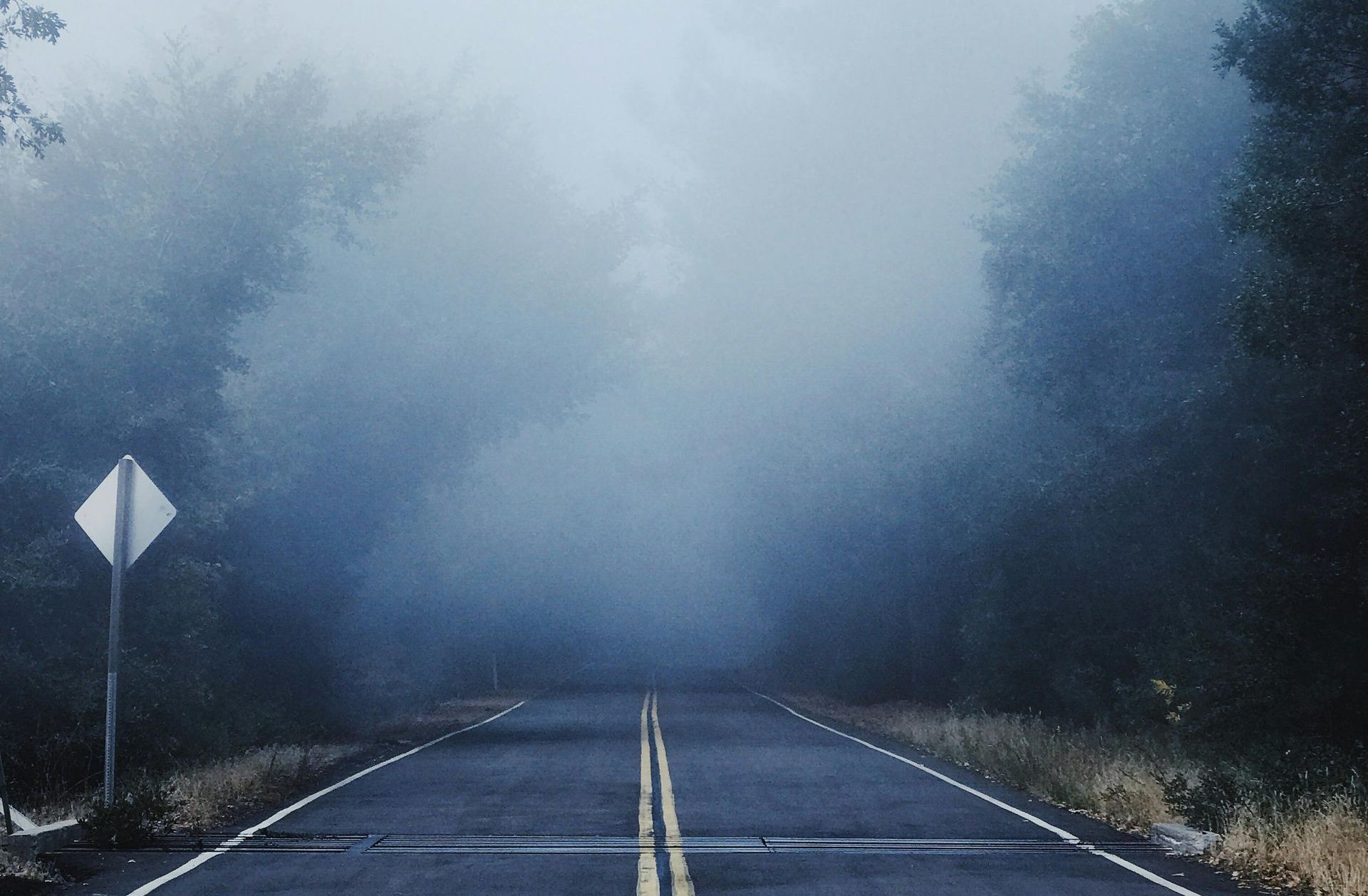 Driving Through The Fog