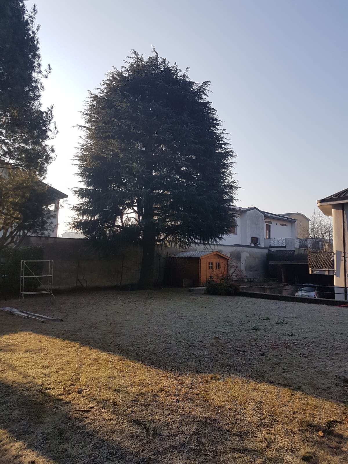 servizi di giardinaggio