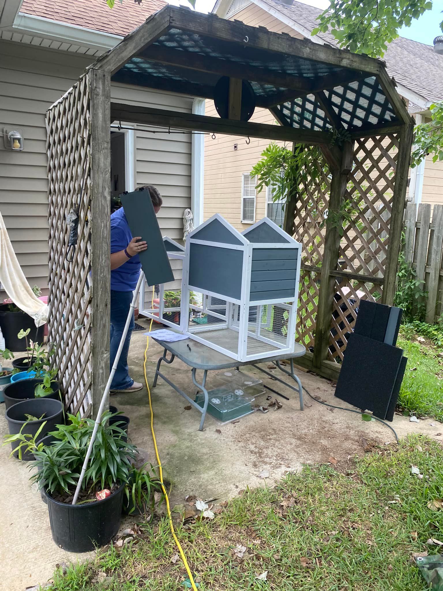Person assembling a chicken coop under a wooden trellis in a backyard.