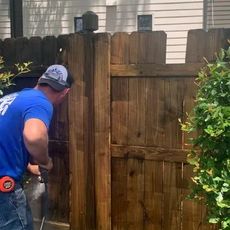 Man in blue shirt staining wooden fence in outdoor setting.