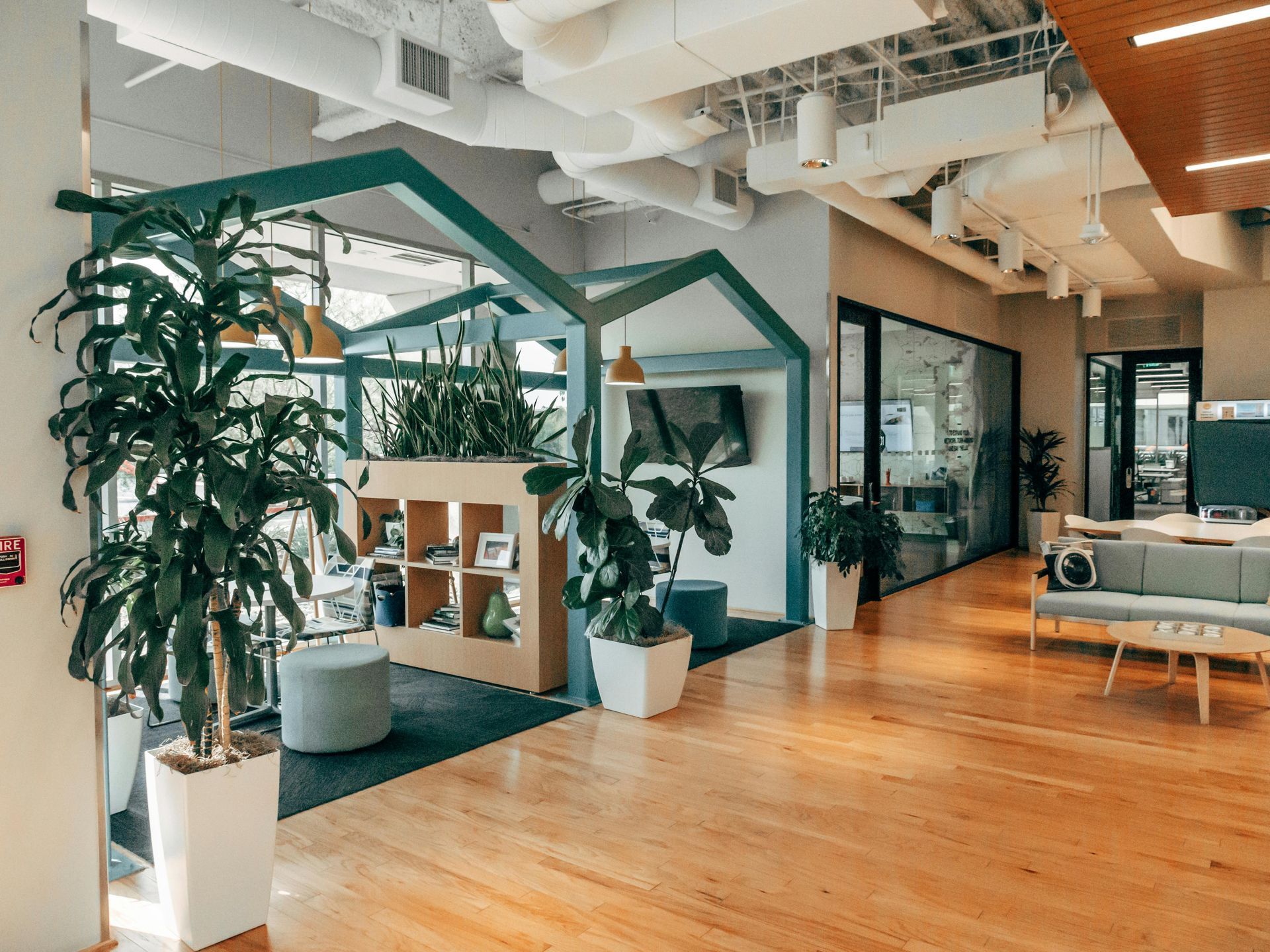 Spacious office interior with wooden floors, plants, and a teal-accented structural frame.