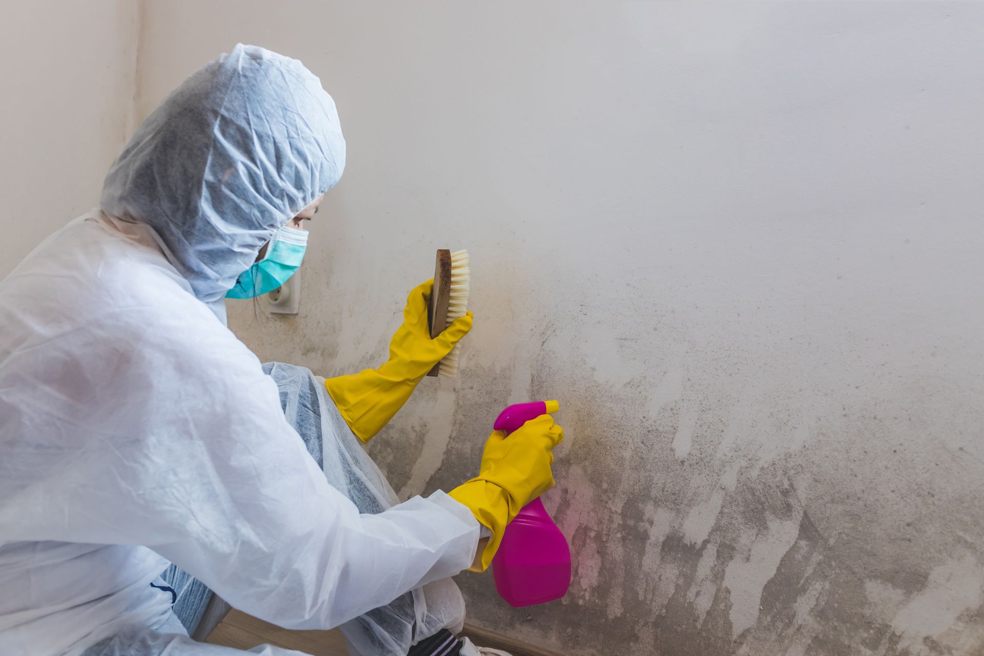 Mold Inspection in Framingham, MA
