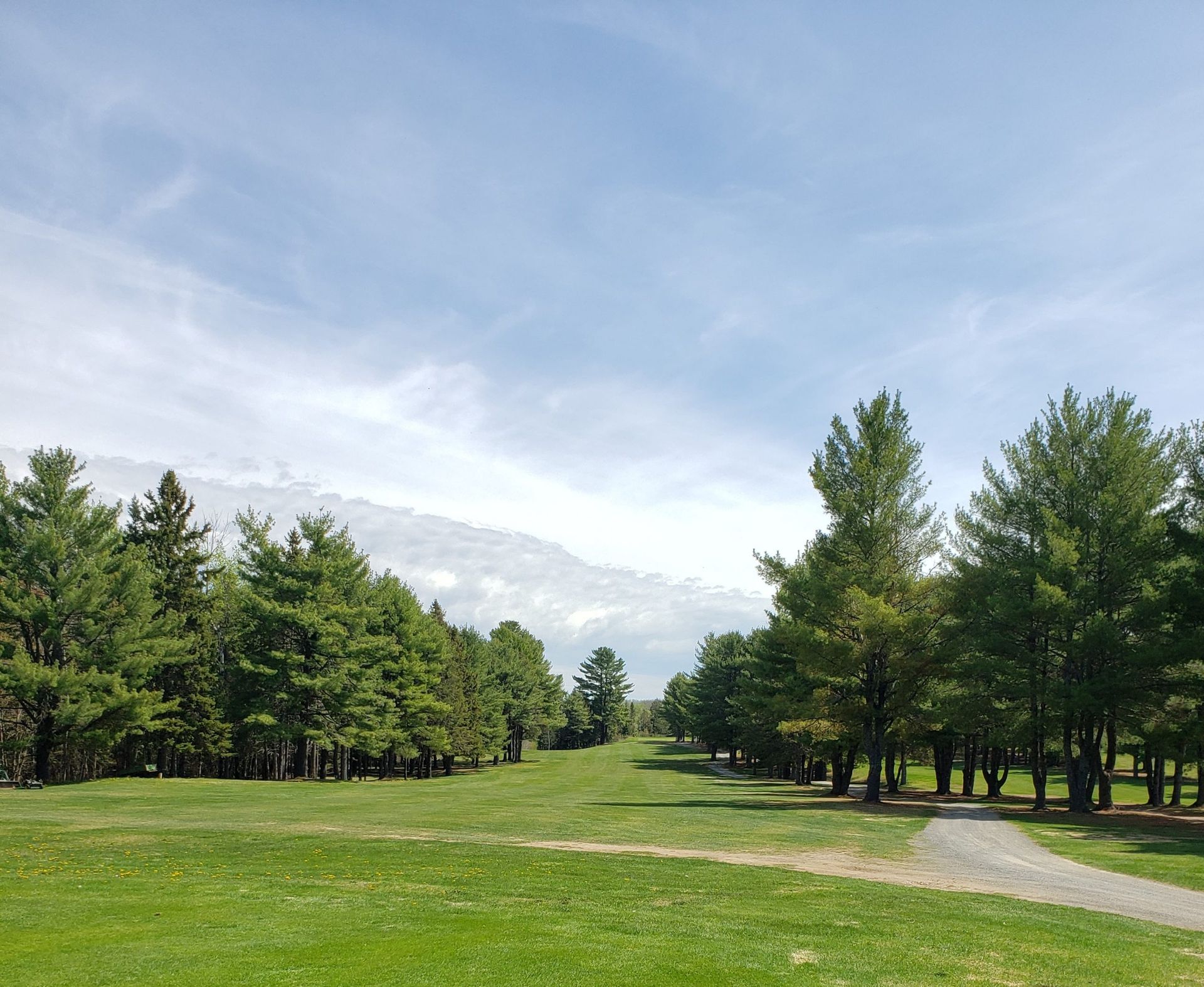 Lush green field with lines of trees leading to distant snow-capped mountains under a cloudy blue sky.