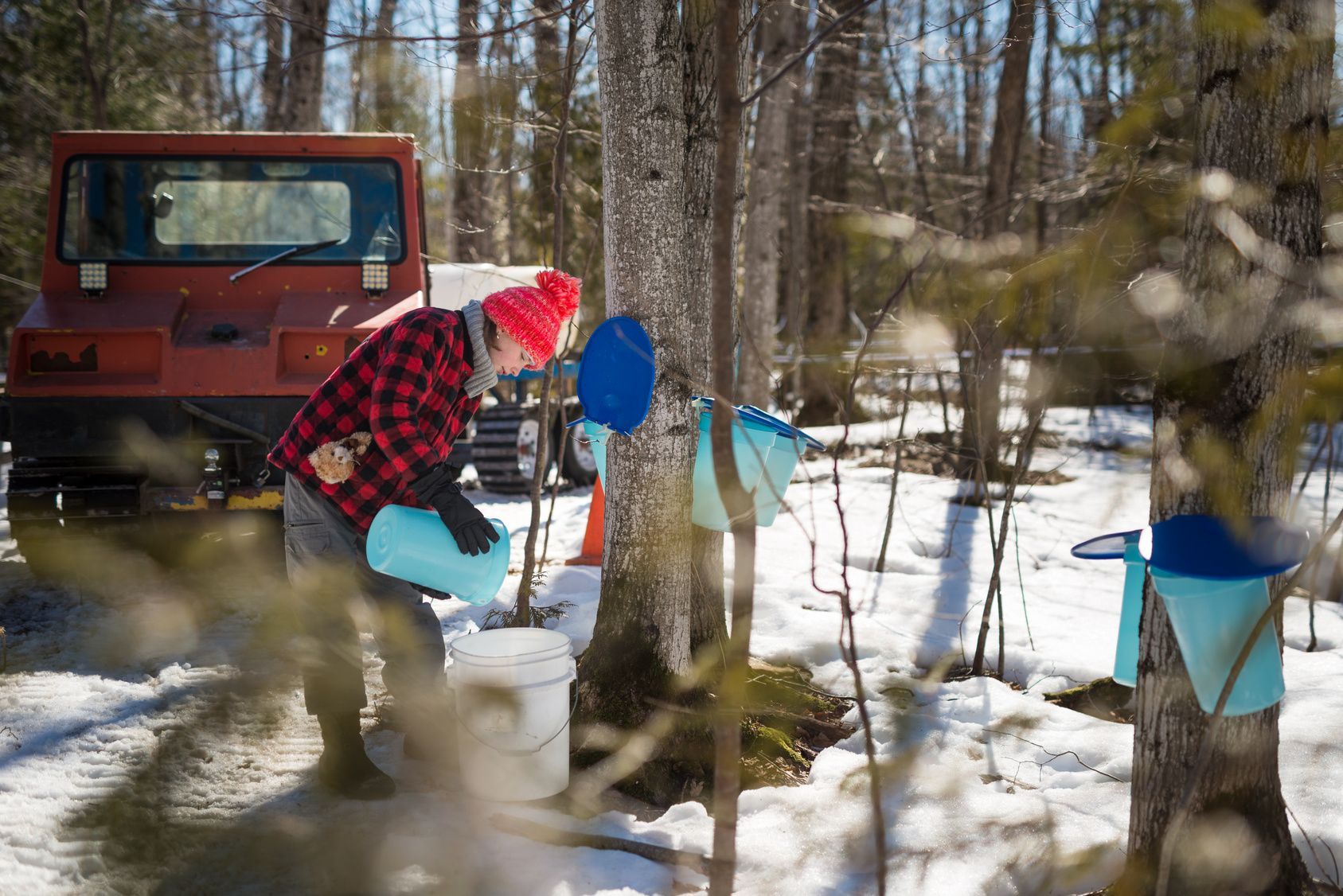 A person in a red plaid shirt collects maple sap into a white bucket in a snowy forest next to a red tracked vehicle.