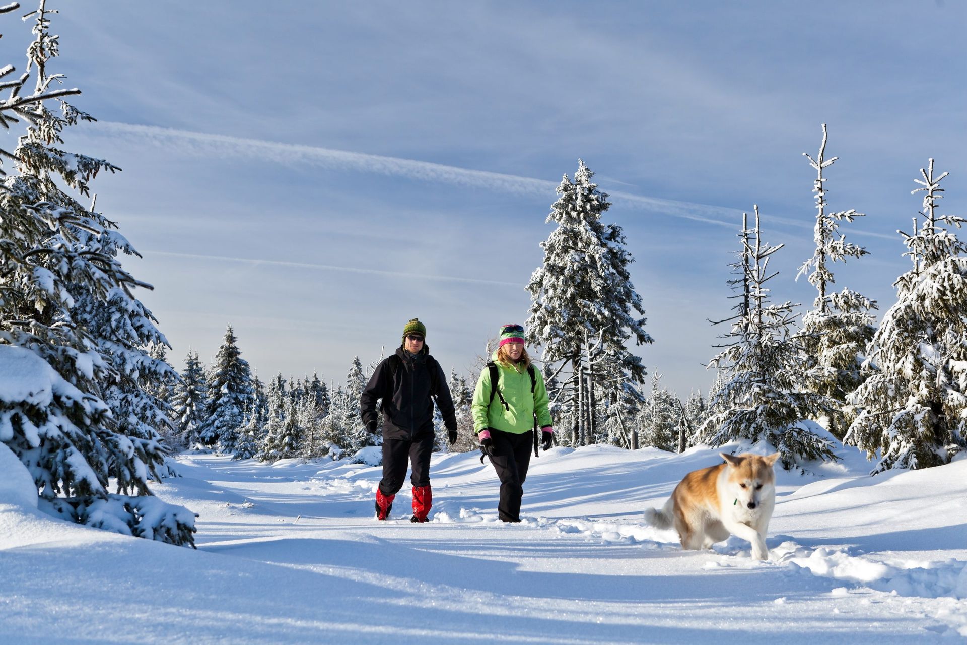 Four people in black snowsuits and helmets pose happily on a snowy expanse, waving and smiling.
