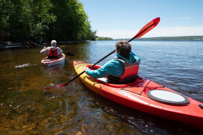 Two people kayaking on a sunny lake near shoreline trees. Red and orange kayaks.