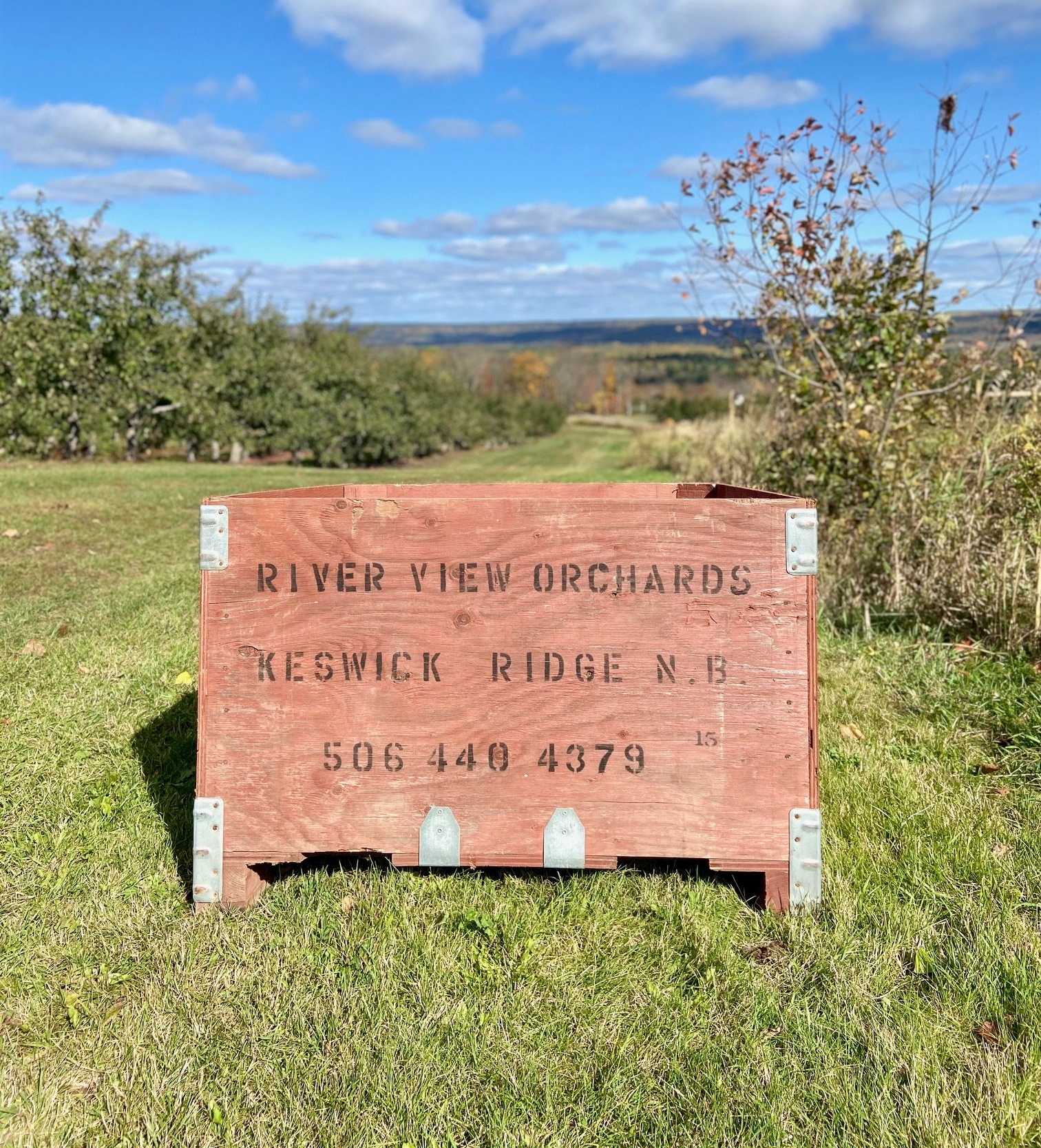 Wooden crate from River View Orchards, Keswick Ridge, NB, on grassy field with orchard and sky backdrop.