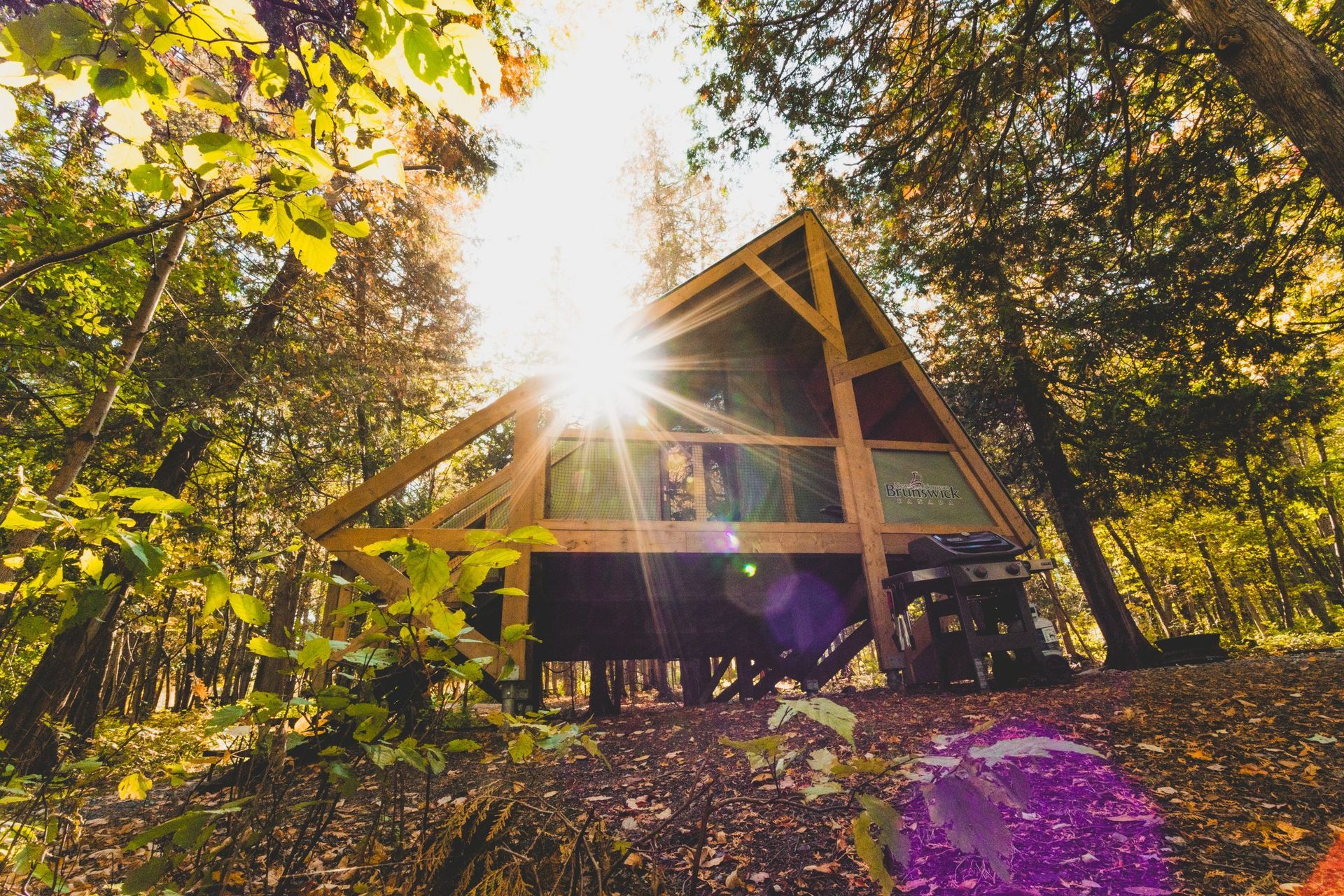 Sun shining through trees onto a wooden A-frame cabin.