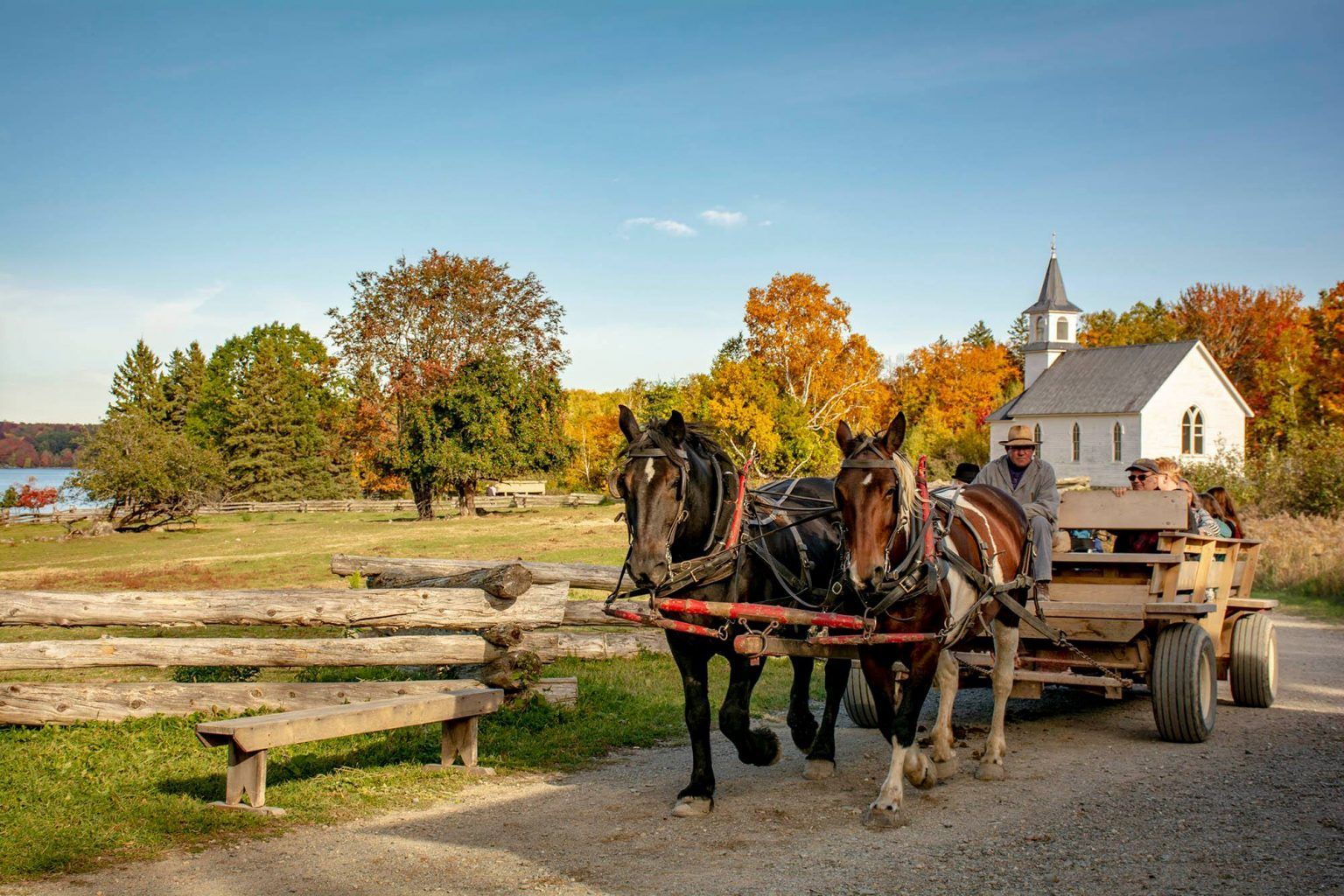 Two horses pull a wagon carrying people on a road near a white church with fall foliage.
