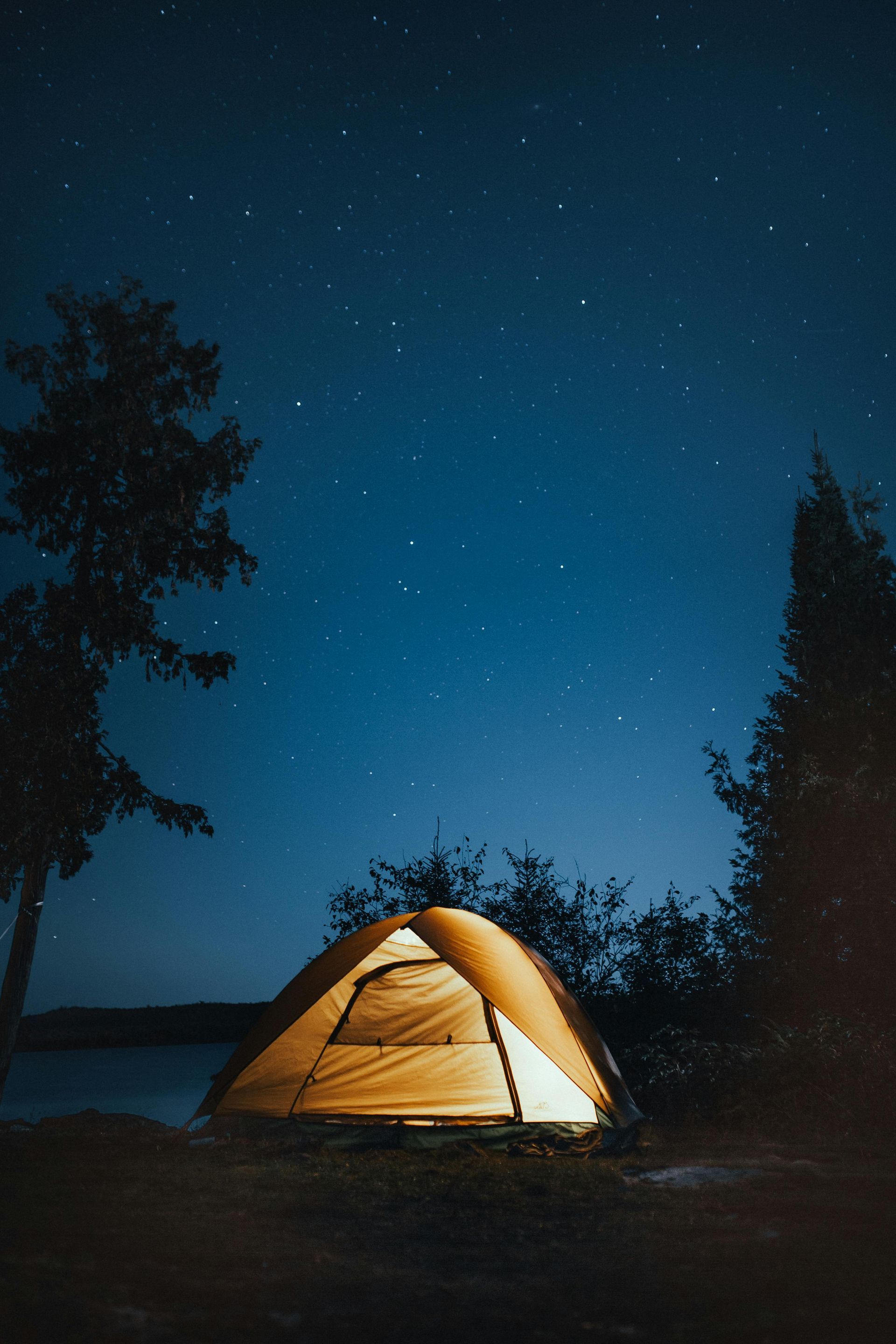 Illuminated tent under a starry night sky, flanked by silhouetted trees.