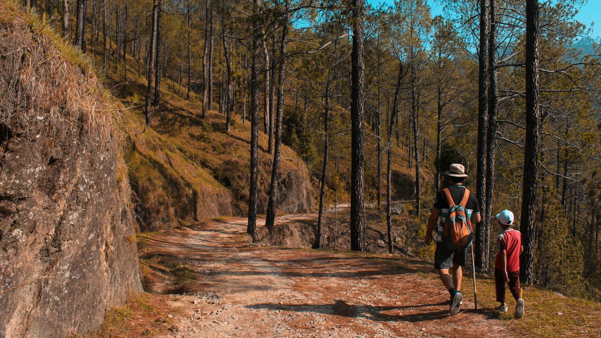 Two people hiking on a dirt path through a forest of tall trees and hills.