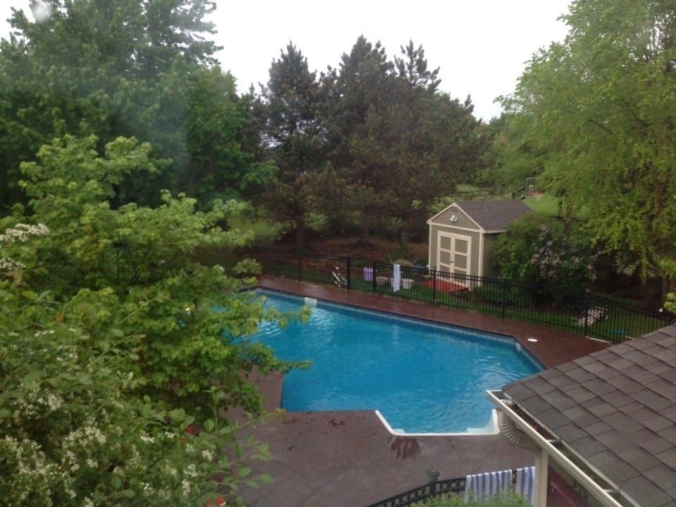 Backyard swimming pool surrounded by trees, with a small shed and patio area nearby