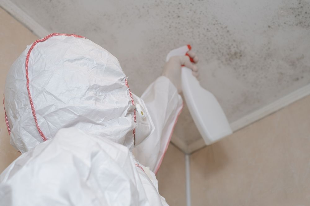 A person in a protective suit is spraying a ceiling with a spray bottle.