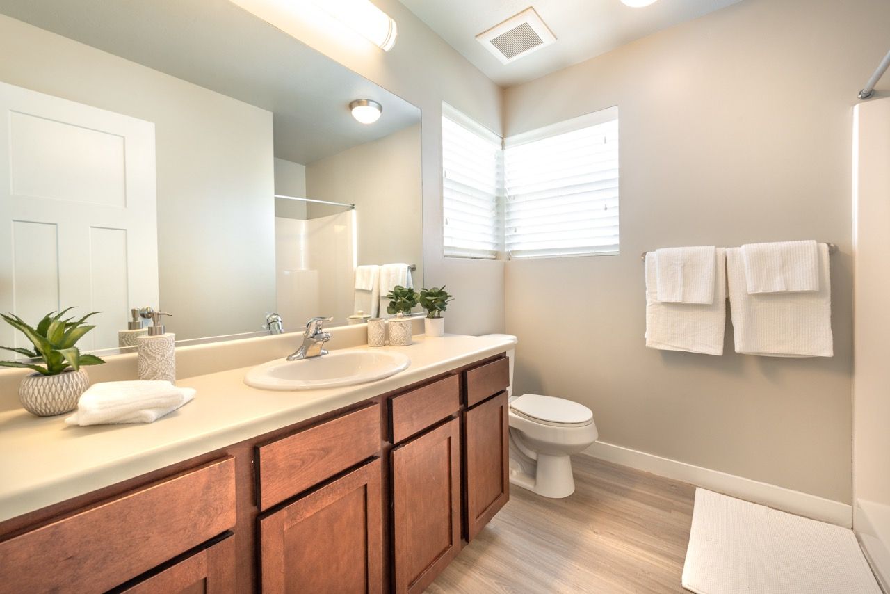 Bright bathroom with a double-sink vanity, large mirror, toilet, and window with blinds.