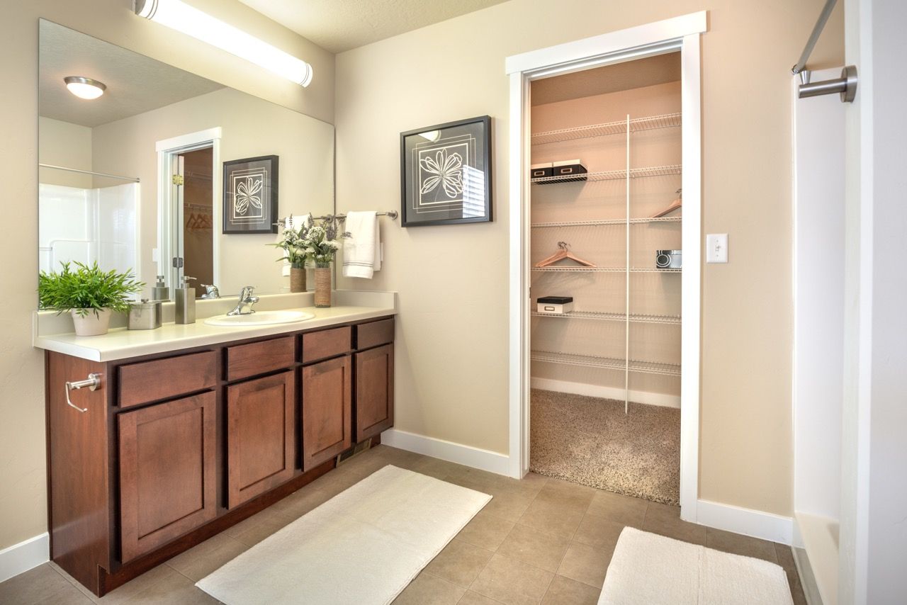 Bathroom with a wood vanity, large mirror, and walk-in closet with shelving.
