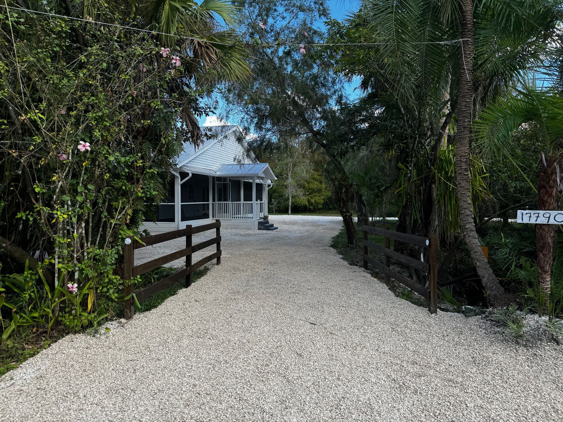 A gravel driveway leading to a house surrounded by trees.