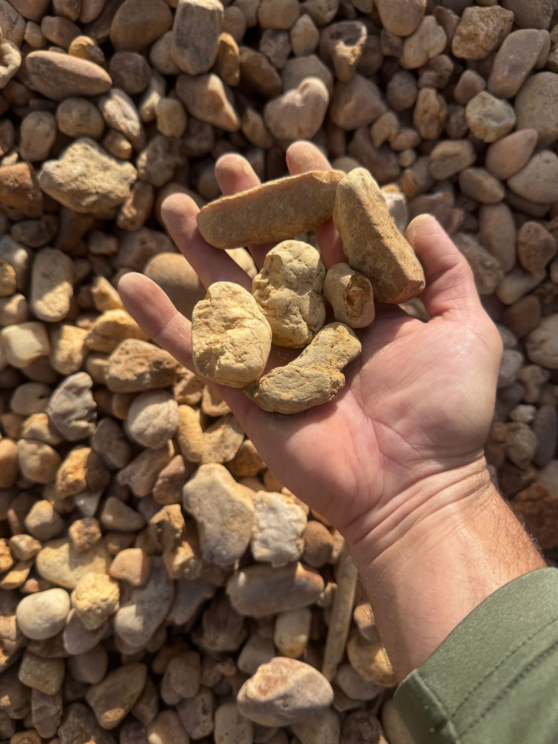 A person is holding a pile of rocks in their hand.