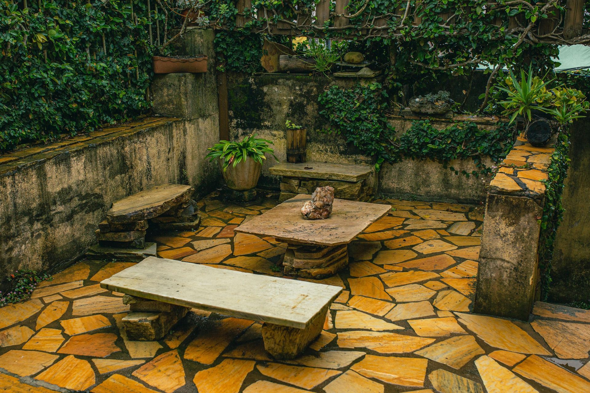 Stone patio with benches and a table in a small garden courtyard, surrounded by plants and a vine-covered wall