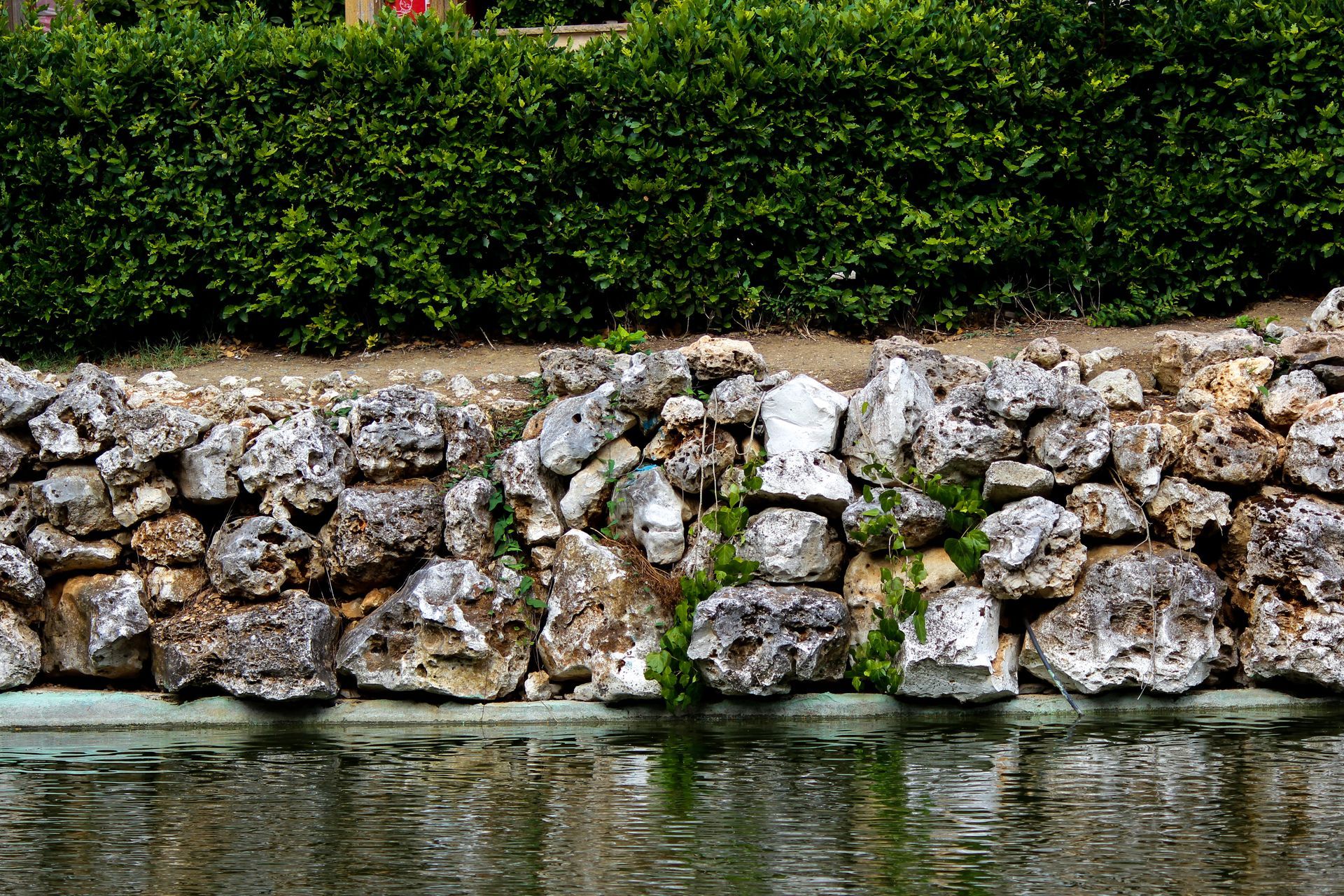 Rocky riverbank beneath dense green hedges, with calm water in the foreground.
