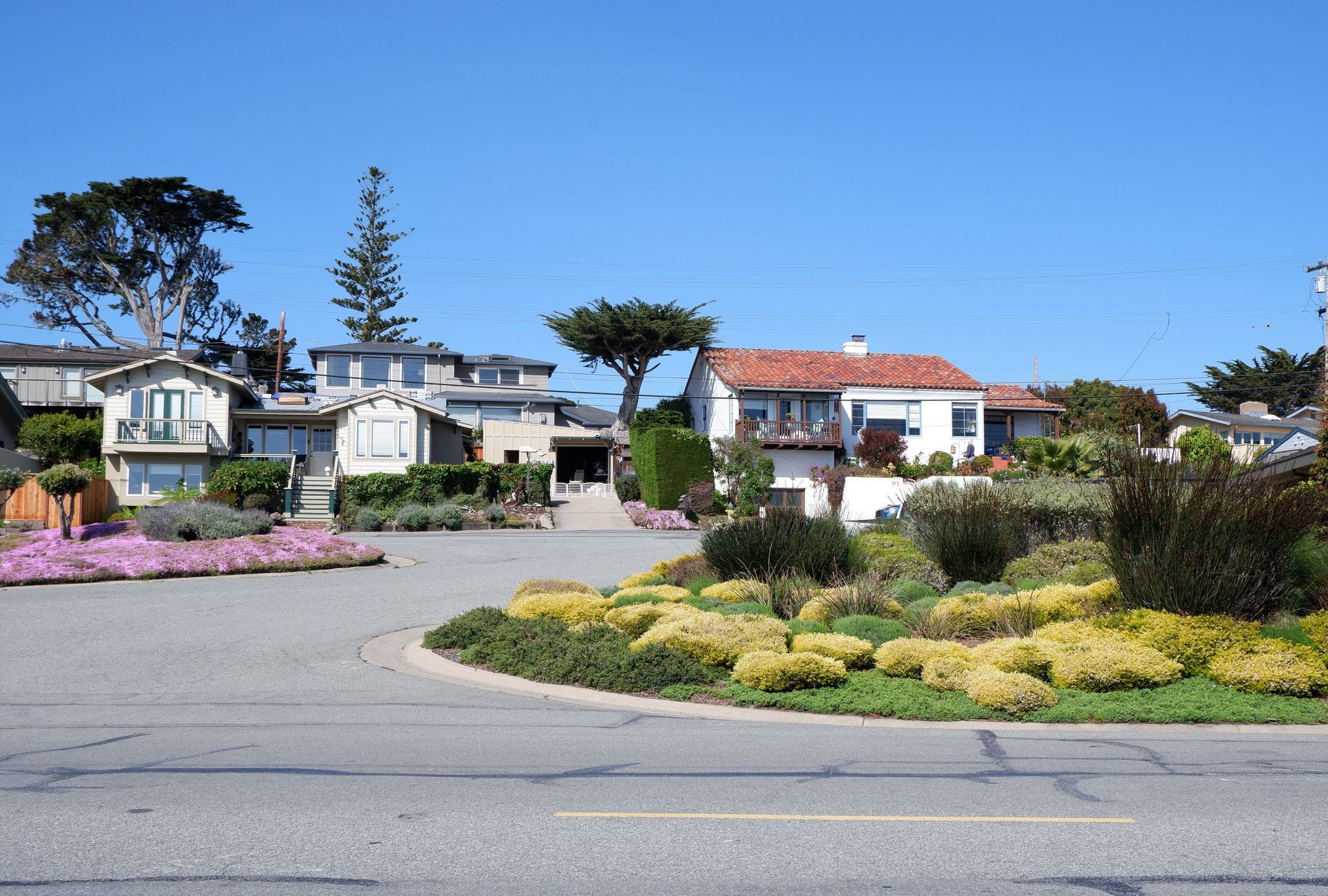 Landscaped residential street with houses, palm trees, and colorful flower beds under a clear blue sky
