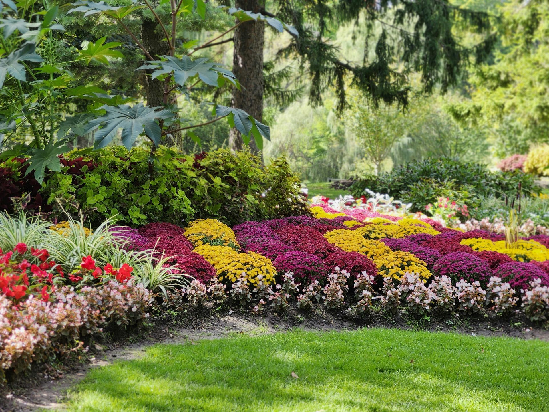 Curved flower bed with colorful blooms in a lush garden landscape