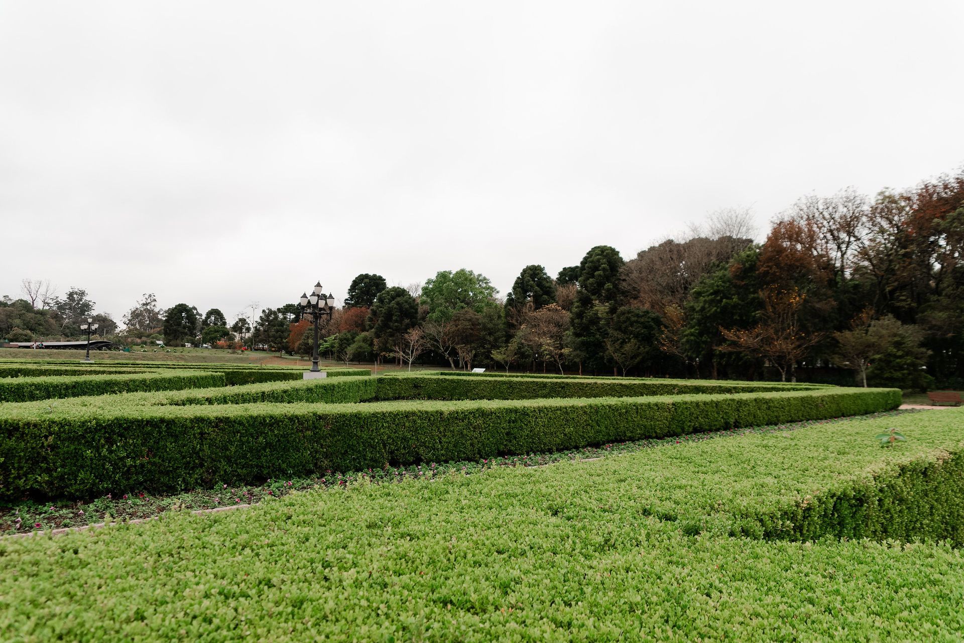 Curved green hedges in a landscaped garden under an overcast sky