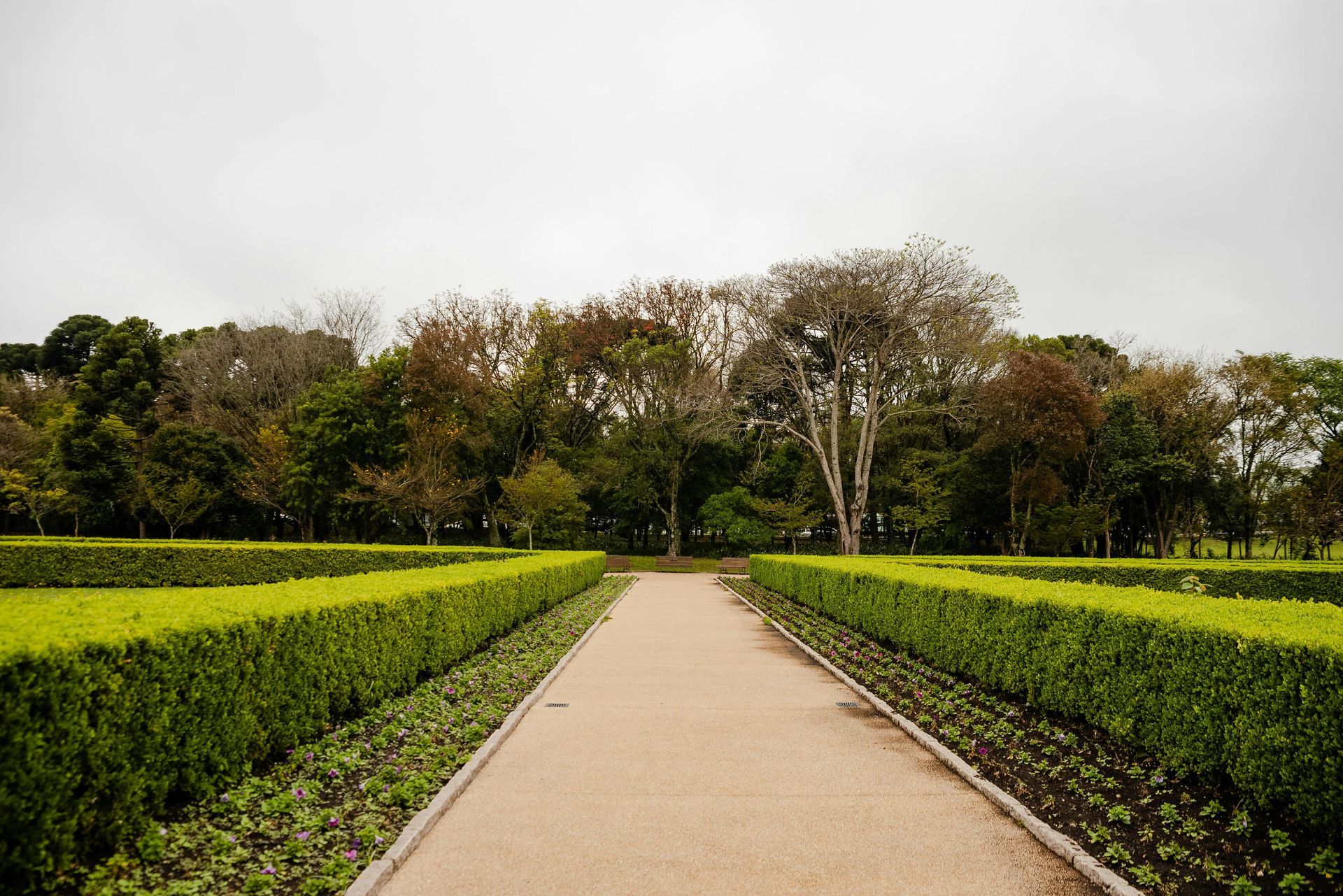 Straight stone path between trimmed green hedges leading to trees under a cloudy sky