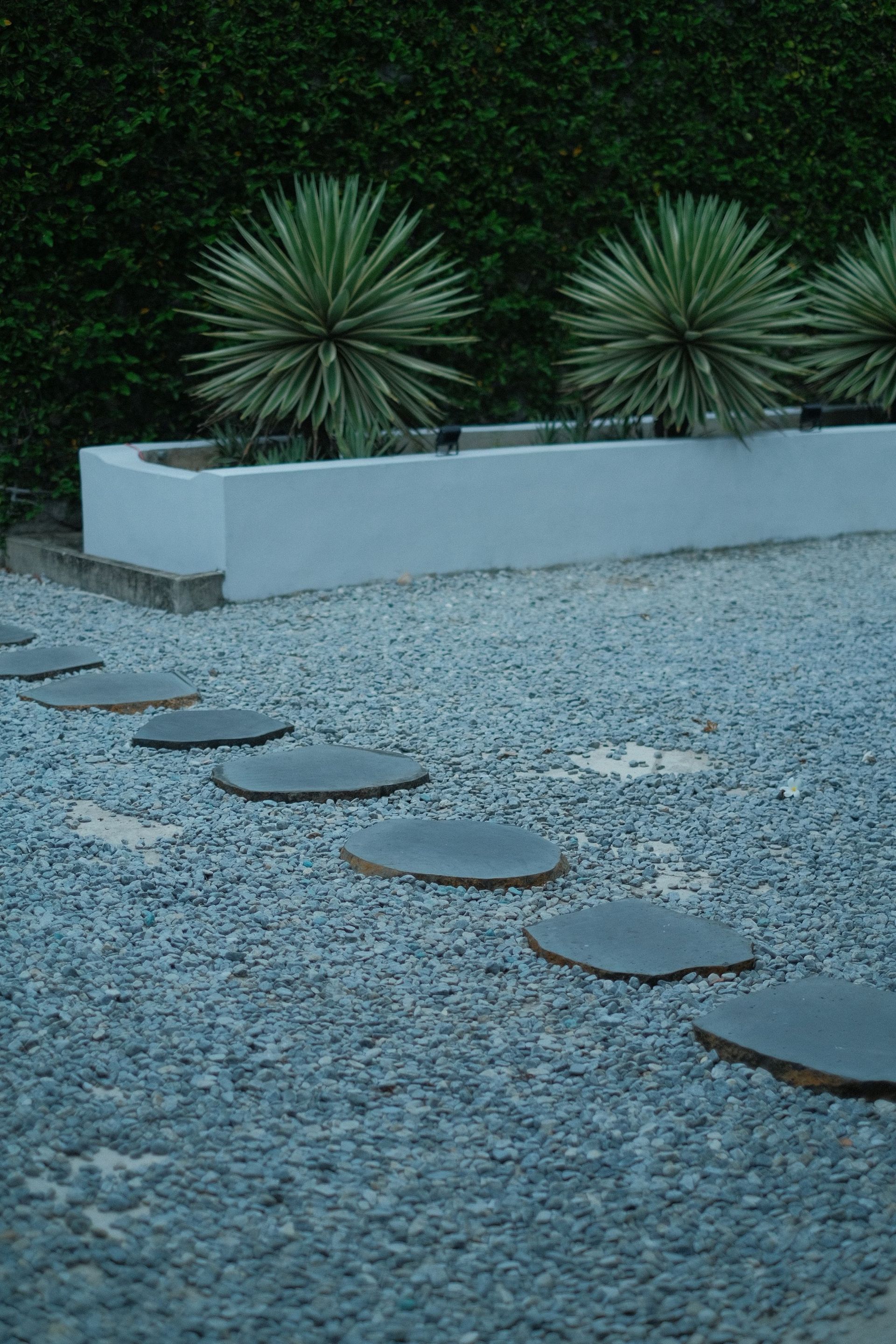 Gravel garden path with round stepping stones beside a white planter and spiky green plants