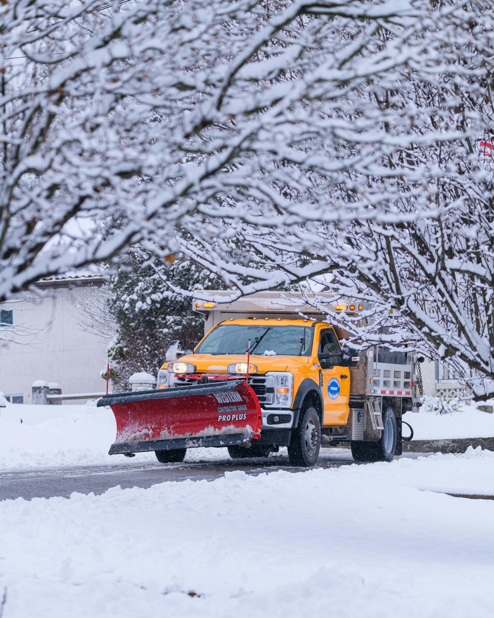 Yellow snowplow clearing a snow-covered street beneath snow-laden tree branches