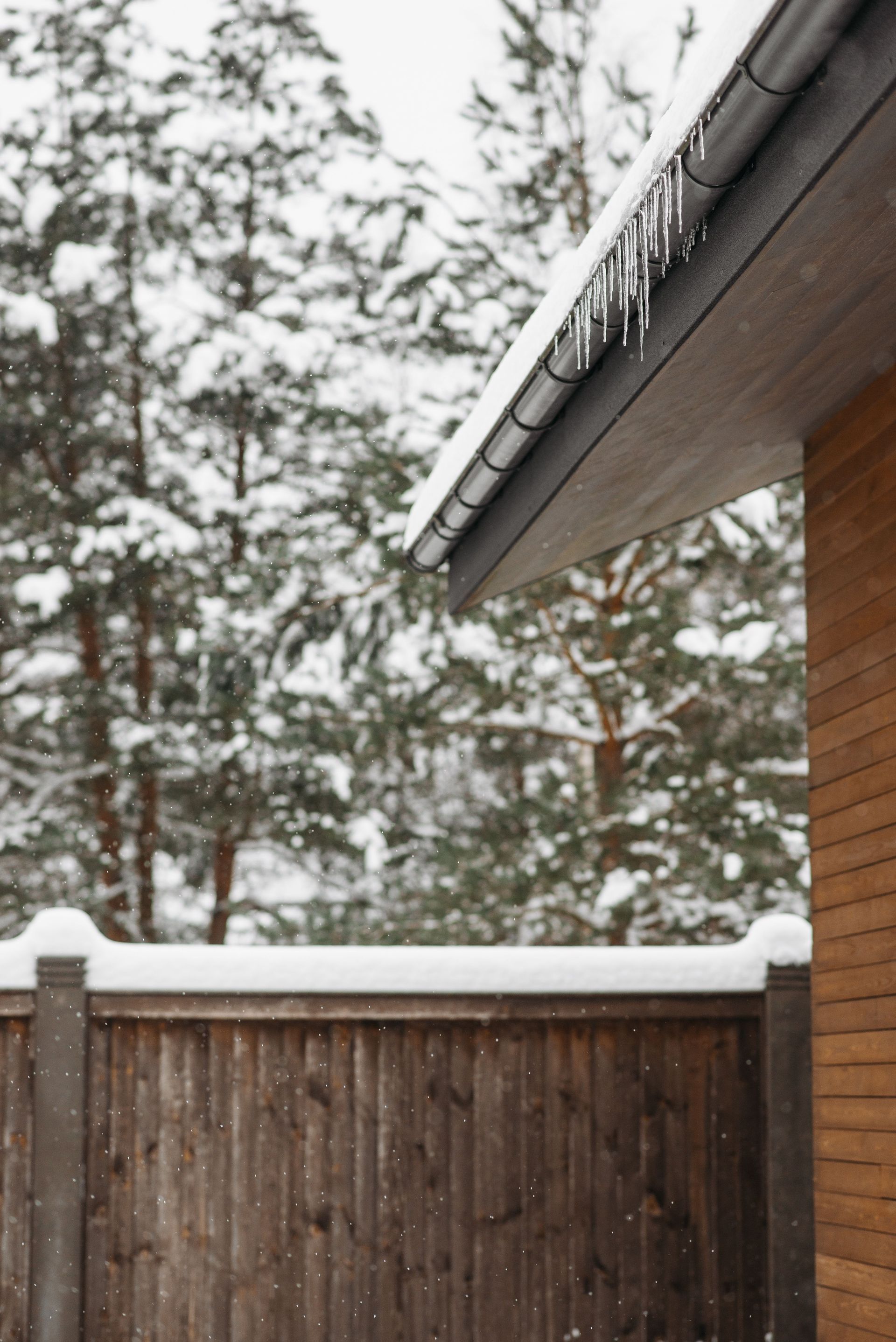 Snowy backyard with wooden fence, pine trees, and a house roof with icicles.