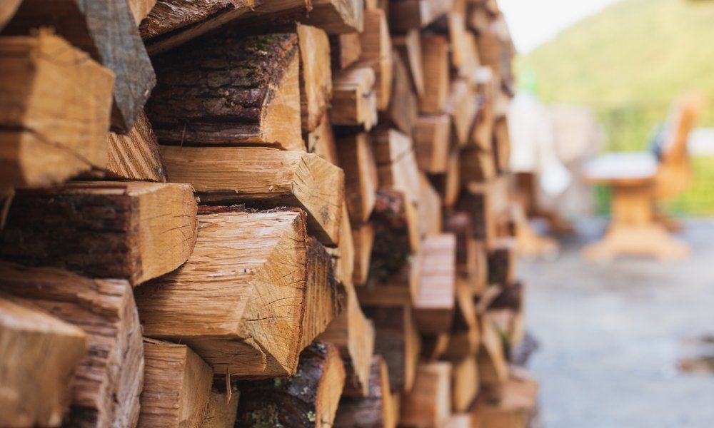 A Pile of Logs is Stacked on Top of Each Other — Sly Bros in Woodburn, NSW
