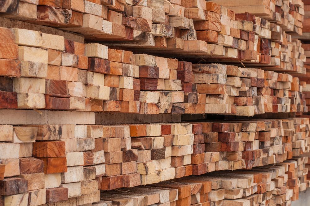 Timber Arranged in Shelves — Sly Bros in Woodburn, NSW