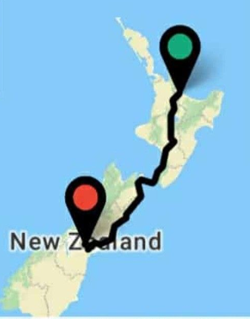 Two movers carrying cardboard boxes inside a room; one man looking to the side.