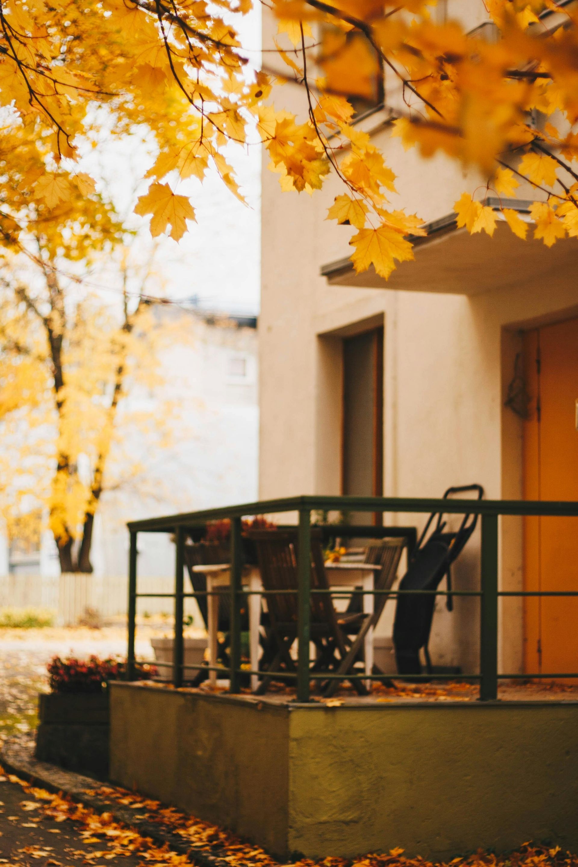 Yellow fall leaves frame a building's porch with a table and chairs.