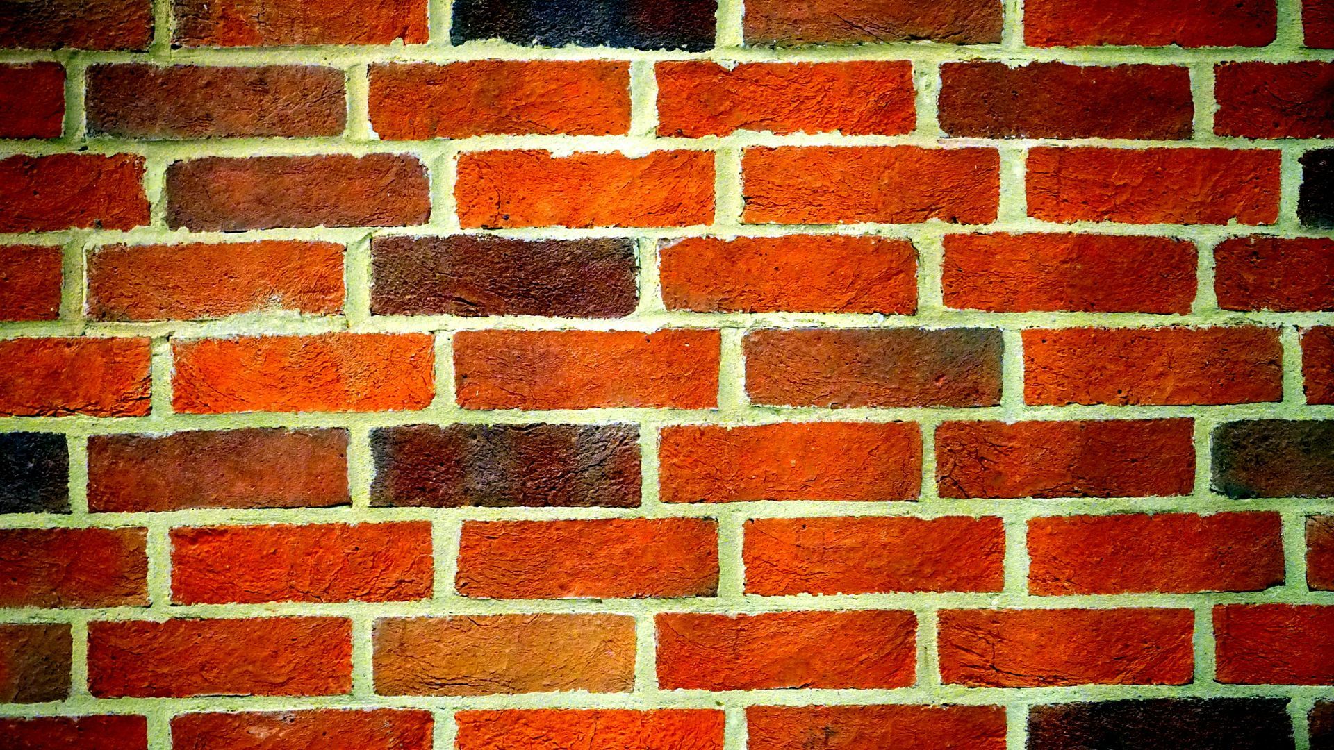 Red, brown, and black brick wall with white mortar.